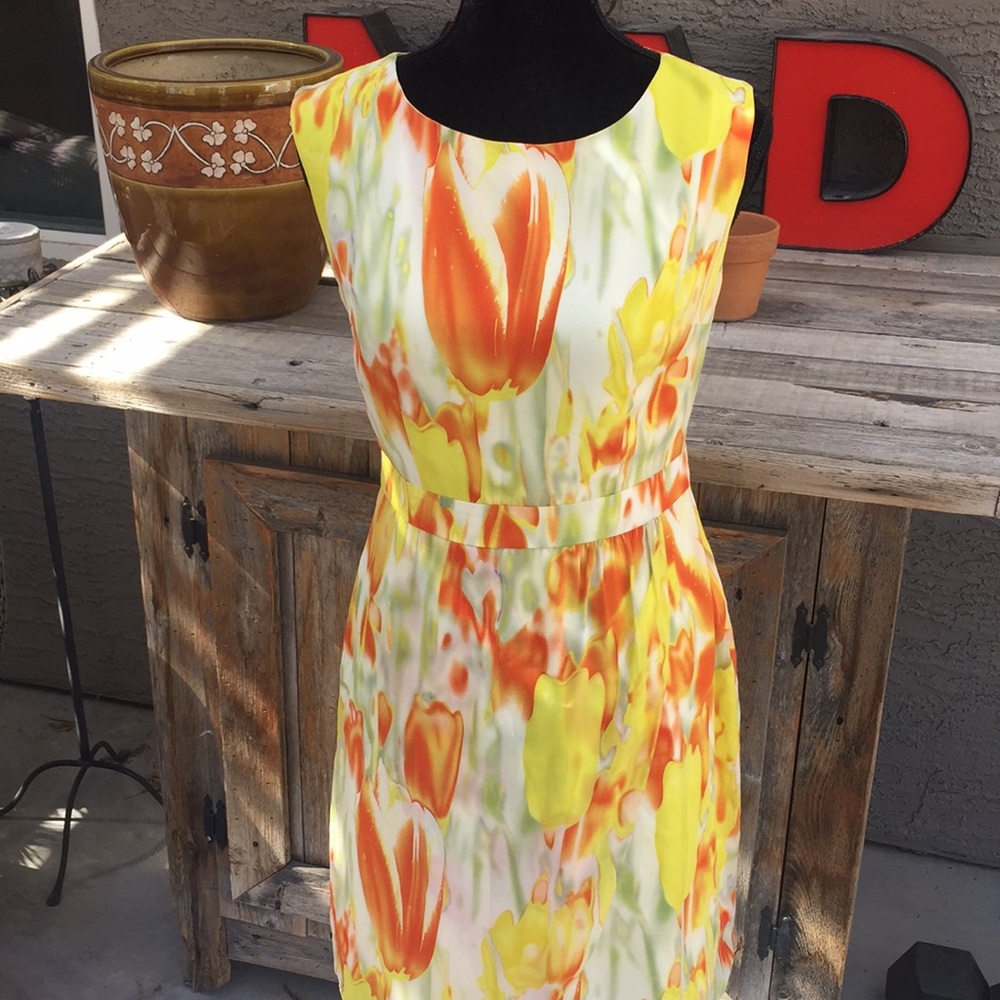 NWOT Catherine Maladrino Dress. 2